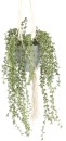 Botanica-Premium-Artificial-Hanging-Pearl-106cm Sale