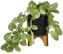 Otto-Footed-Plant-Pot-with-Artificial-Plant Sale