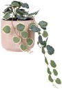 Otto-Ribbed-Hanging-Planter-with-Plant-Pink Sale