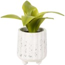 Otto-Terrazzo-Pot-with-Succulent-Plant Sale