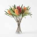 Banksia-Flower-Stem-by-MUSE Sale