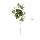 Eucalyptus-Branch-by-Habitat Sale
