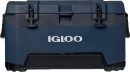 IGLOO-BMX-49L-Icebox Sale