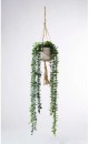 30-off-String-of-Pearls-in-Hanging-Pot-Green-105cm Sale