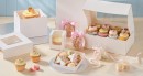 Cake-Boxes-Boards-Bags Sale