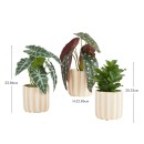 Hughie-Potted-Plant-by-MUSE Sale