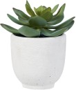 Otto-Planter-Succulent-White Sale