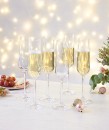 Mestige-Premium-Champagne-Flutes-6-Pack Sale