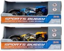 24GHz-Radio-Control-Sports-Buggy-Remote-Control-Car-Series-Assorted Sale