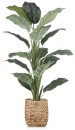 30-off-NEW-Bouclair-Large-Potted-Plant Sale