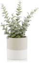 Bouclair-Two-Tone-Pot-Privet Sale