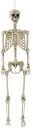 Spooky-Hollow-Life-Size-Skeleton Sale