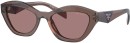 Prada-Butterfly-Light-Brown-Light-Brown-Female-Sunglass Sale