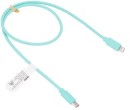 NEW-USB-C-to-Lightning-Cable-Blue Sale