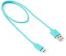 NEW-USB-C-Short-Cable-Blue Sale