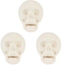 NEW-3-Piece-Skull-Heads Sale