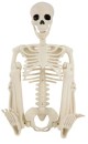 90cm-Adjustable-Skeleton Sale