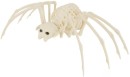 Spider-Skeleton Sale