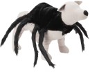 Pet-Costume-Halloween-Spider-SmallMedium Sale