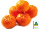 Australian-Mandarins Sale