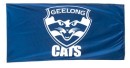 AFL-Team-Pole-Flags Sale