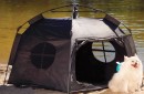 Small-Pet-Tent Sale