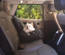 Small-Pet-Car-Seat Sale