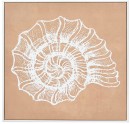 KOO-Shell-Canvas-Print-I Sale