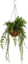 Hanging-Fern-Bowl-Green-35-x-87cm Sale