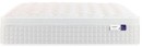 SleepMaker-Performance-Capri-Mattress-in-Medium Sale