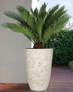 NEW-Colorado-Planter-495cm Sale