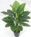 NEW-Artificial-Taro-Plant-80cm Sale