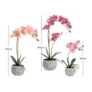 Artificial-Phalaenopsis-Pink-Orchid-in-Pot-by-MUSE Sale