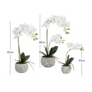 Artificial-Phalaenopsis-White-Orchid-in-Pot-by-MUSE Sale