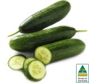 Australian-Lebanese-Cucumbers Sale