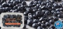 Australian-Eureka-Blueberries-200g-Punnet Sale