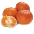 Australian-Afourer-Mandarins Sale