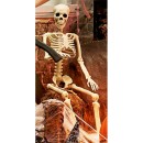 Halloween-Large-Hanging-Skeleton Sale