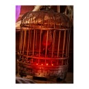 Halloween-Bird-in-Cage Sale