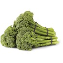 Australian-Broccolini-Bunch Sale