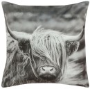 Brampton-House-Photo-Real-Highland-Cow-Cushion-45-x-45cm Sale