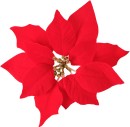 Jolly-Joy-Red-Poinsettia-Clips-6-Pack Sale