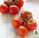 Australian-Truss-Tomatoes Sale