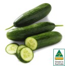 Australian-Lebanese-Cucumbers Sale