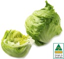 Australian-Iceberg-Lettuce Sale