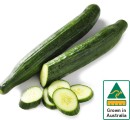 Australian-Continental-Cucumber Sale