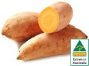 Australian-Gold-Sweet-Potatoes Sale