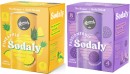 Remedy-Sodaly-4x250mL Sale