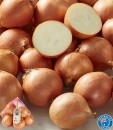 Coles-Australian-Brown-Onions-1kg-Bag Sale