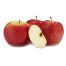 Australian-Pink-Lady-Apples Sale